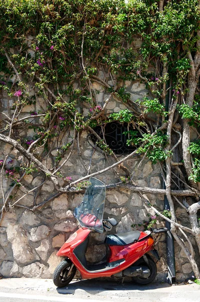 A red scooter near a wall with trees branches and leaves in Positano, Amalfi coast — Stock Photo, Image