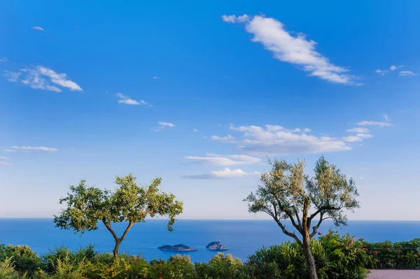 Malerischer Blick auf zwei Bäume, Himmel, Meer und li galli Inseln an der Amalfiküste, Italien — Stockfoto