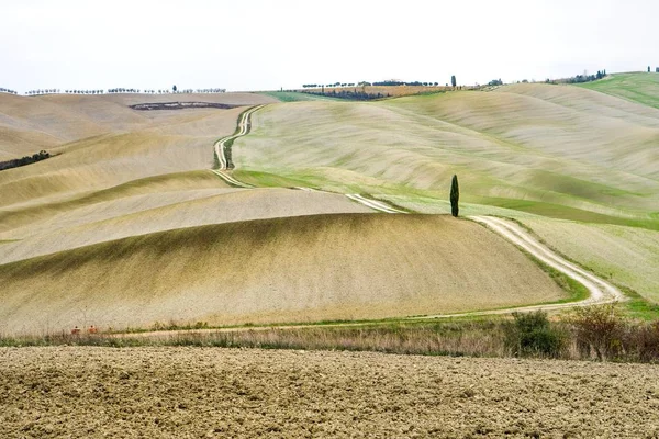 Paysage de collines toscanes vue panoramique, Toscane, Italie — Photo