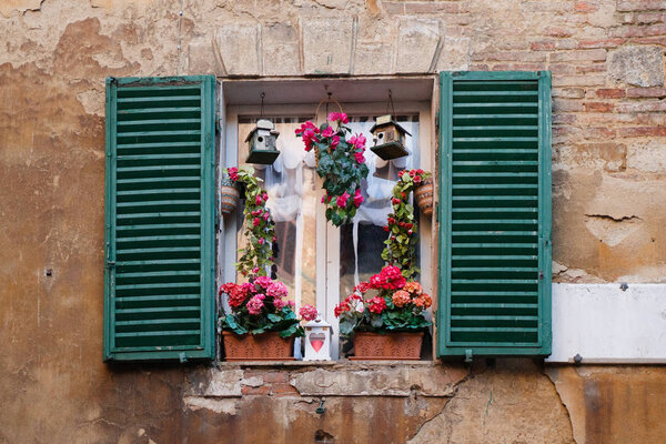 Characteristic window with flowerpot and decorations in Siena, Tuscany, Italy
