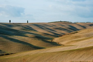 Tuscan kırsal manzara ile karakteristik tepeler, Tuscany, İtalya