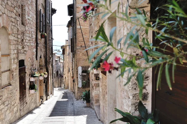 Ruelle historique médiévale italienne traditionnelle de belle petite — Photo