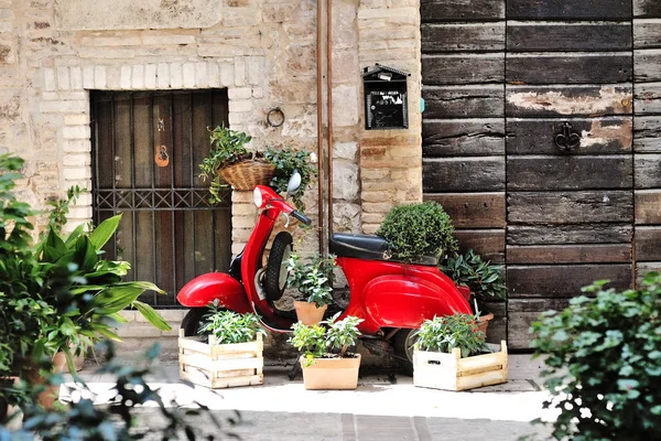 Spello Antik şehir Umbria caddede güzel