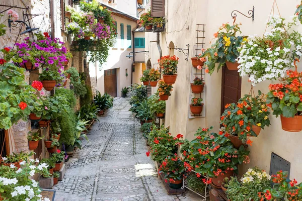 Romantic floral street in Spello, medieval town in Umbria, Italy — Stock Photo, Image