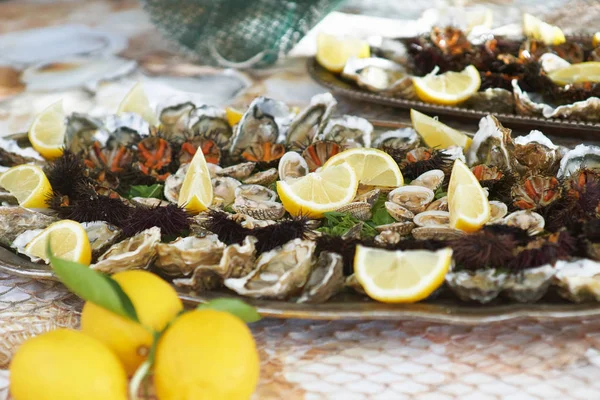 İstiridye, istiridye ve diğer kabuklu deniz ürünleri içinde bir tepsi wih limon
