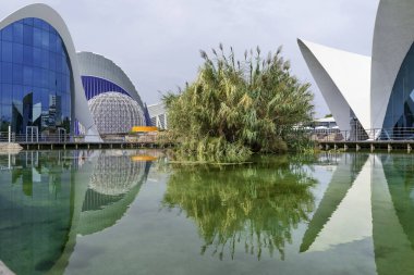 Valencia, İspanya, 15 Ekim 2015 - şehir sanat ve Bilimler ve getirteceğiz akvaryum doğal görünümü