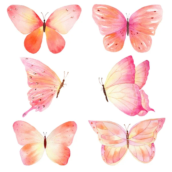 Acquerello farfalla fatta a mano impostato su sfondo bianco . — Foto Stock
