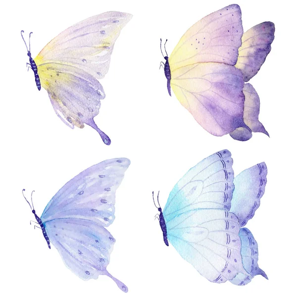 Mariposas volando colección. Dibujo dibujado a mano en acuarela sobre fondo blanco . —  Fotos de Stock