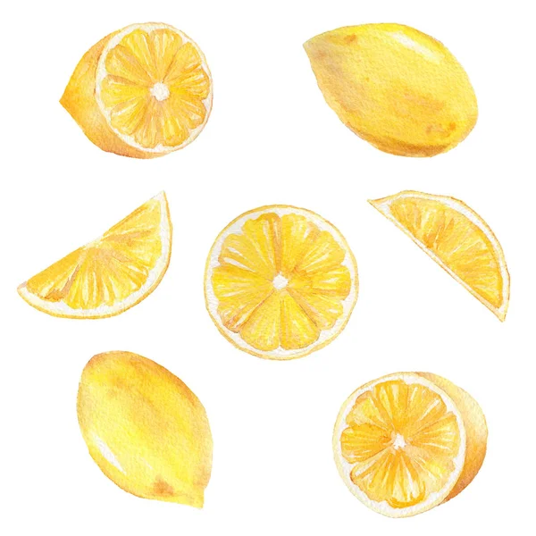 수채화 손으로 그린 레몬의 컬렉션. 인쇄 및 장식 사용할 수 있습니다.. — 스톡 사진