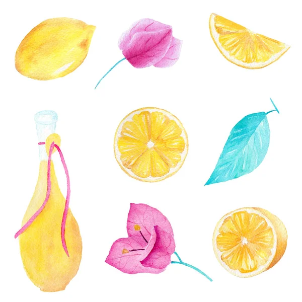 Рука намальована акварельним набором з лимона, оливкової олії, листя і квітки буганьвілля на білому тлі. Може використовуватися для друку та оздоблення . — стокове фото