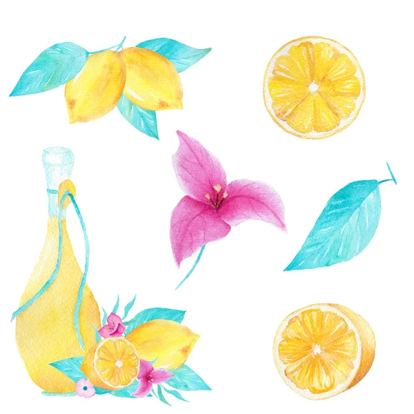 Aquarell-Set aus Zitrone, Olivenöl, Blatt und Bouganvillea-Blume auf weißem Hintergrund. kann für Druck, Dekoration, Einladung verwendet werden. — Stockfoto