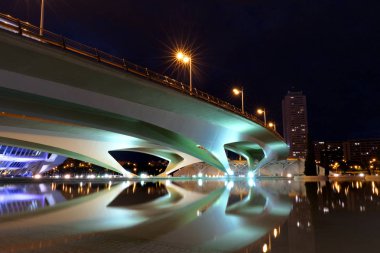 Şehir sanat ve Bilimler modern bina, Valencia, İspanya, Avrupa