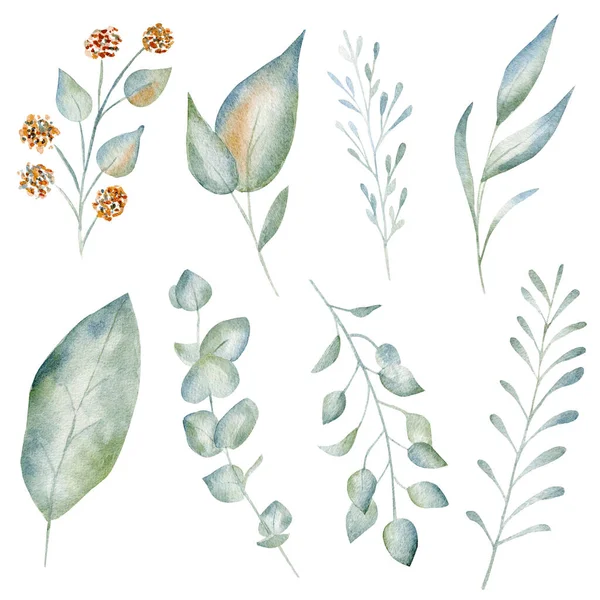 Zelené listy a květiny akvarel rastrové ilustrační set — Stock fotografie