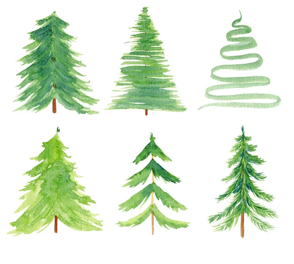 Çam ağacı basit suluboya el çizimleri seti — Stok fotoğraf