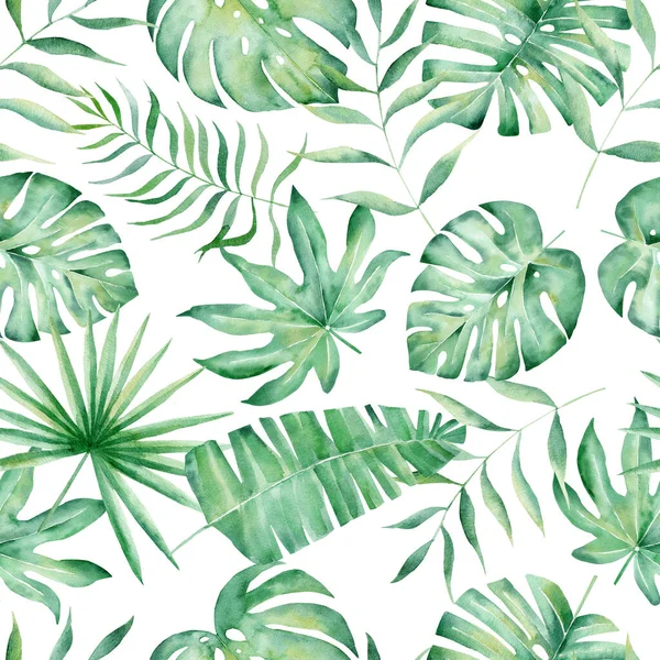 Monstera, palma e felce foglie disegnato a mano modello senza soluzione di continuità illustrazione — Foto Stock