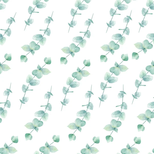 Eucalyptus twigs with leaves hand drawn seamless pattern illustration — Stock Photo, Image