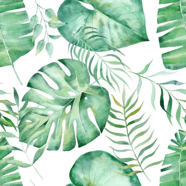 Monstera samambaia e folhas de eucalipto desenhado à mão ilustração padrão sem costura — Fotografia de Stock