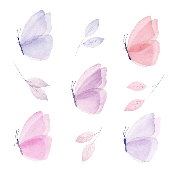 Set di illustrazioni ad acquerello con farfalla e foglia. Clipart dipinta a mano pastello . — Foto Stock