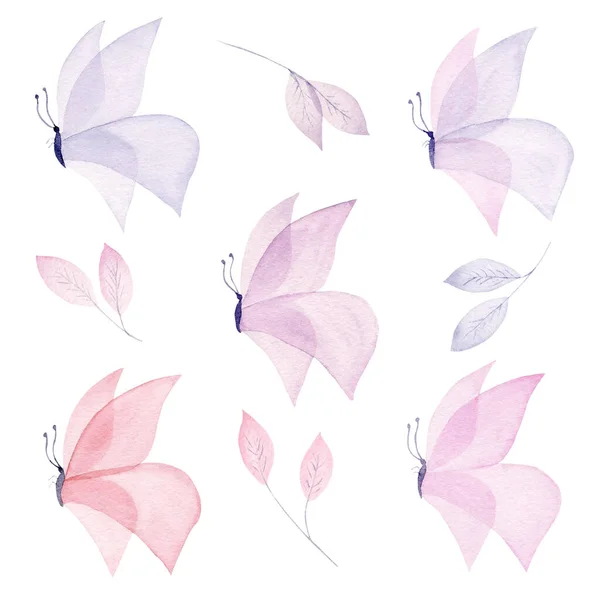 Метелики і листя намальовані вручну акварельні ілюстрації набір. Літаюча комаха. Пастельний колір тварини акварель малюнок . — стокове фото