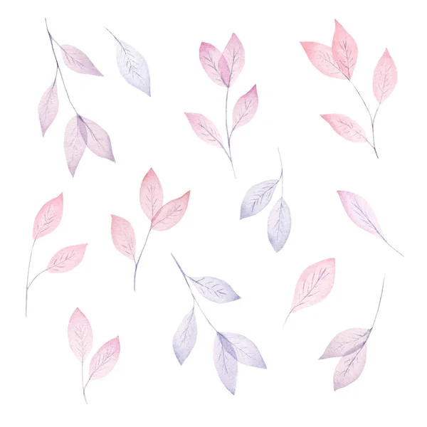 Акварельні листя, намальована вручну квіткова колекція. Ілюстрація на білому тлі . — стокове фото