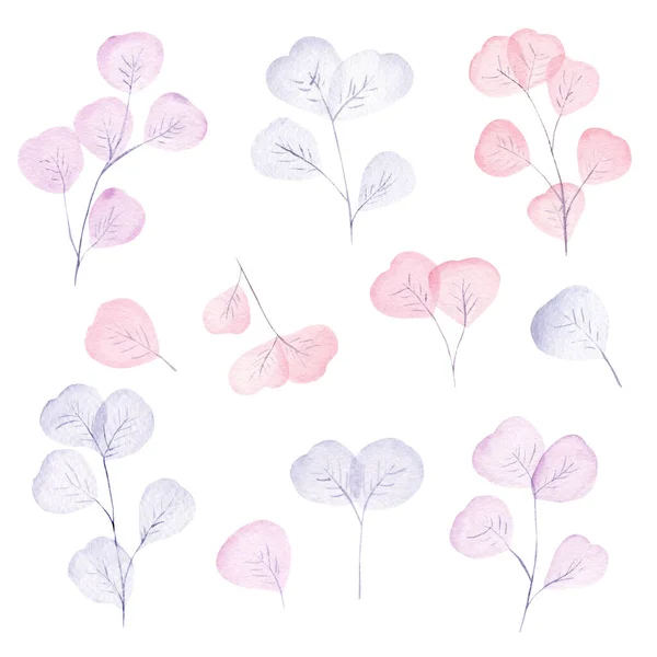 Акварель пастельно-рожеве і світло-блакитне листя і набір гілок. Ручна розфарбована квіткова ілюстрація . Ліцензійні Стокові Зображення