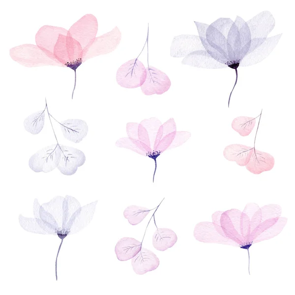 水彩の花のイラストセット。かわいい繊細な花や葉で中性パステルカラーコレクション. ストック写真