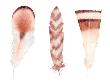 Elle boyanmış suluboya tüyler. Boho biçim illüstrasyonu.