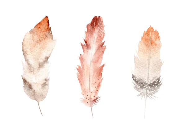 Ensemble de plumes, clipart aquarelle peint à la main, illustration sur fond blanc . — Photo