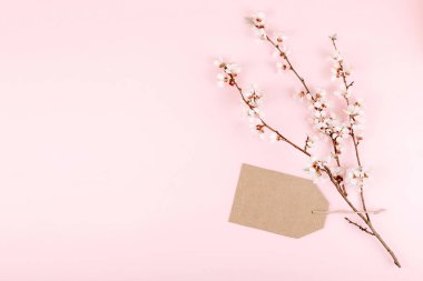 Boş geri dönüştürülmüş el işi kartonları ve pembe arka planda çiçek açan kiraz çiçekleri içeren minimalist bir kart modeli. Düz konum, üst görünüm, kopyalama alanı