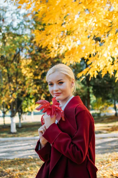 Adorable blonde fashion girl in fall Autumn park. Portrait of beautiful girl in burgundy coat. Fall fashion trend