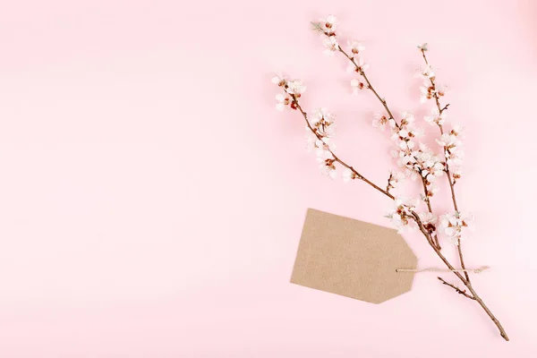 Maqueta de tarjeta minimalista con cartón artesanal reciclado vacío, rama de flor de cerezo en flor sobre fondo rosa. Plano, vista superior, espacio para copiar — Foto de Stock