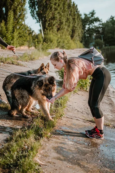 Perro bebiendo de las palmas del dueño. Jóvenes deportes mujer feliz juega con perro pastor alemán cerca del lago. Auténticos momentos de alegría chica jugando con sus perros. concepto de amor mascota —  Fotos de Stock