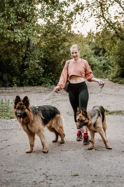 Paseador profesional de perros ejercitando a dos perros en el parque. Mujer joven con perros al aire libre. Chica de fitness caminando dos pastores alemanes —  Fotos de Stock