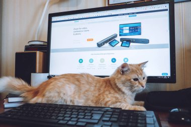 Video iletişimi için yakınlaştırma uygulaması, video ve ses konferansı için bulut platformu, sohbet ve webinarlar. Video konferansı için ev bilgisayarı web sitesi sayfasını aç. Kropivnitskiy, Ukrayna, 25 Mart 2020