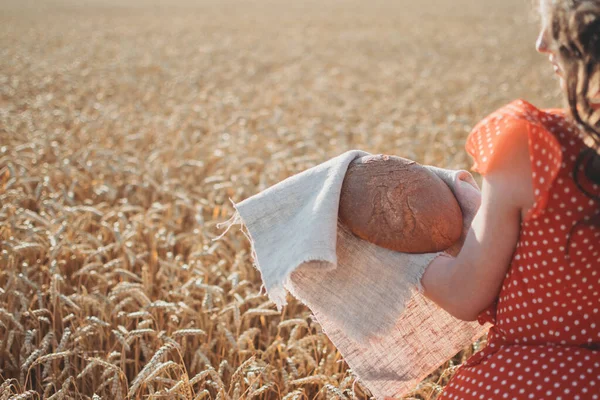 Экспорт Зерна Ограничение Урожая Экспорта Пшеницы Глобальная Продовольственная Безопасность Высев — стоковое фото