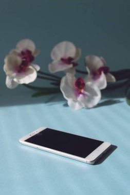 Dijital koku teknolojisi. Parfüm Araştırması, Kokuların Geleceği, Kokuları Çevrimiçi Yaymak, Artırılmış Gerçeklik