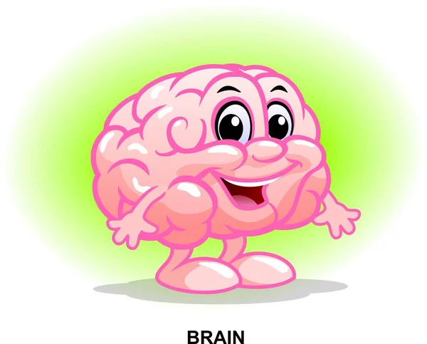 Human Internal Organ Funny Character Healthy Brain — Stock Vector
