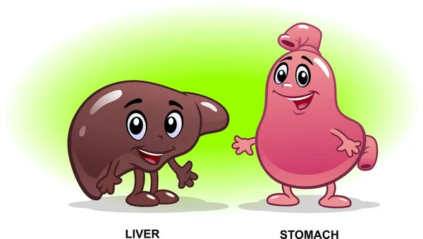 Menschliche Innere Organe Cartoon Anatomie Organe Mit Glücklichem Lächeln Gesunde — Stockvektor