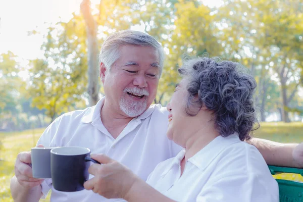 Boldog Életet Hosszú Életű Koncepciót Idősebb Pár Koccint Egy Csésze — Stock Fotó