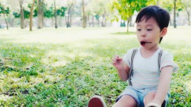 Şeker ya da lolipop yiyen sevimli küçük çocuk. Anaokulu çocuğu güzel bir parkta oturur ve yakışıklı çocuk şeker yediğinde mutlu olur. Normalde çocuklar şeker yemeyi çok sever. Şirin genç çocuk melez.