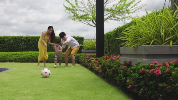 아버지는 아들에게 축구나 가르친다 뛰어가는 귀여운 스러운 어린이가 수있다 행복해 — 비디오