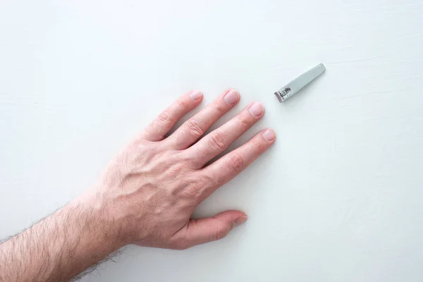 Caucasian male straight extended hand and uncut long nails and nail clipper on white surface top view close up shot 2020