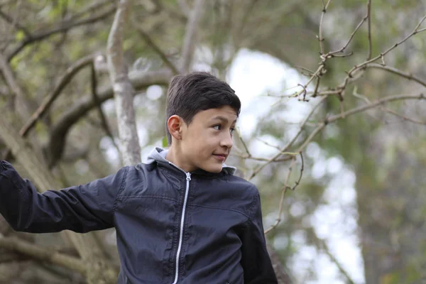 Genç çocuk kışın ağaca tırmanmak — Stok fotoğraf