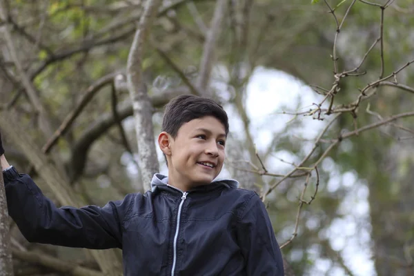 Niño trepando árboles en invierno — Foto de Stock