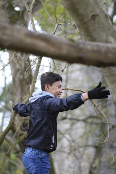 Young boy climbing trees in winter