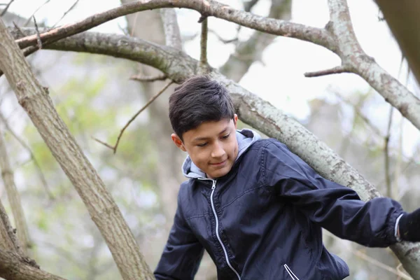 Young boy climbing trees in winter — Stock Photo, Image