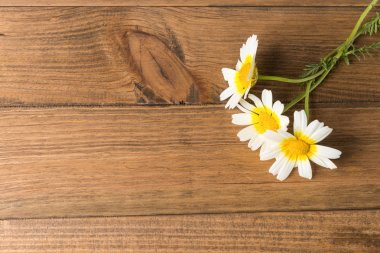 Ahşap bir masaya çiçek görüntülemek yukarıdan.