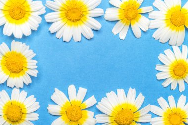 Mavi bir arka plan üzerinde beyaz ve sarı çiçekler oluşturduğu dikdörtgen çerçeve