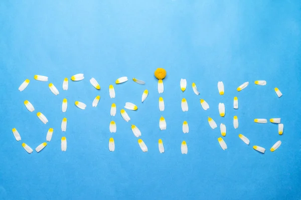 Word spring written with white petals on a blue background — Stock Photo, Image