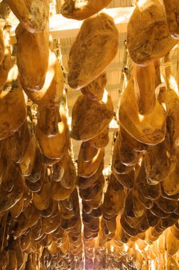 Iberian cured hams stored in a drying room during the curing process clipart